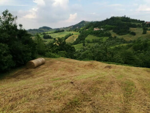 Terreno agricolo