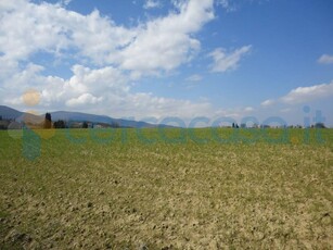 Terreno agricolo in vendita a Apiro