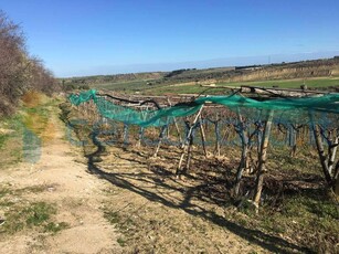 Terreno agricolo in vendita a Canosa Di Puglia