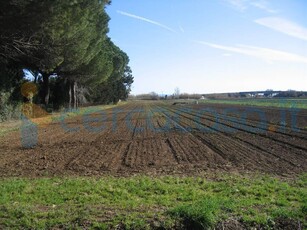 Terreno agricolo in vendita a Gricignano Di Aversa