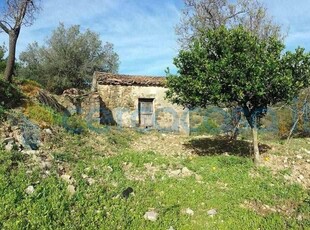 Terreno agricolo in vendita a Montecorice