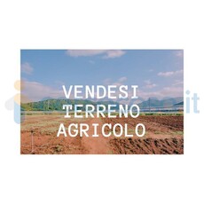 Terreno agricolo in vendita in Borgo, Borgo Valsugana