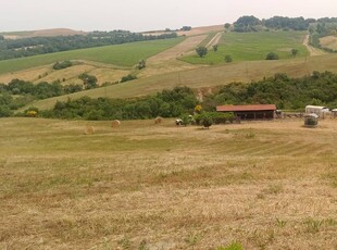 Vendita Annesso agricolo, CINIGIANO