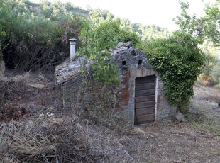 Vendita Rustico casale, CHIUSDINO