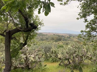 Vendita Terreno agricolo, MILITELLO IN VAL DI CATANIA