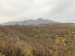 Vendita Terreno agricolo, MONTEFORTE IRPINO