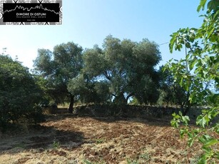 Vendita Terreno agricolo, OSTUNI