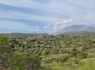 Vendita Terreno agricolo, SANTA MARIA DI LICODIA