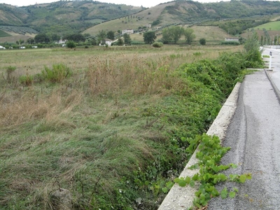 Terreno in vendita, Controguerra s.p. bonifica del tronto