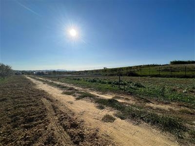 Terreno agricolo in buono stato di 1200 mq. a Cenaia
