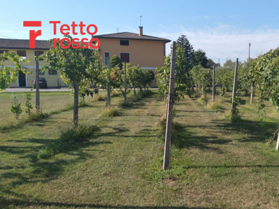 terreno residenziale in vendita a Fontaniva