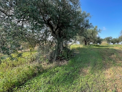 terreno residenziale in vendita a Partinico