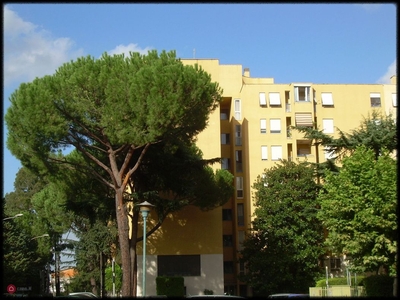 Appartamento in Vendita in Via Bova 7 a Roma
