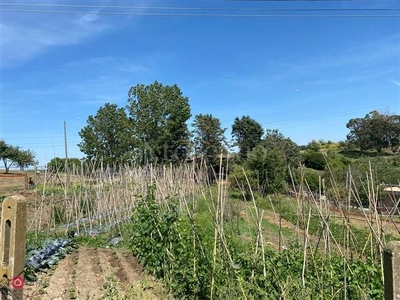 Terreno agricolo in Vendita in Via Casal Lumbroso a Roma