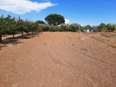 Terreno agricolo in Vendita in Via Cherasco a Roma