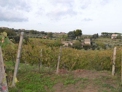 Terreno agricolo in Vendita in Via di Costamagna a Roma