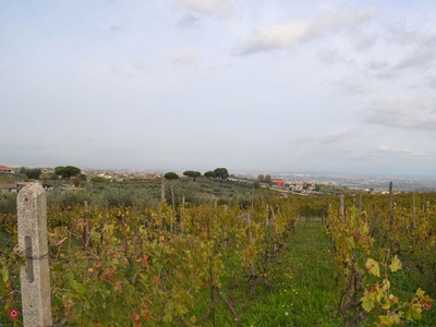 Terreno agricolo in Vendita in Via di Costamagna a Roma