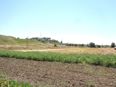 Terreno agricolo in Vendita in Via di Ponte Galeria 181 a Roma