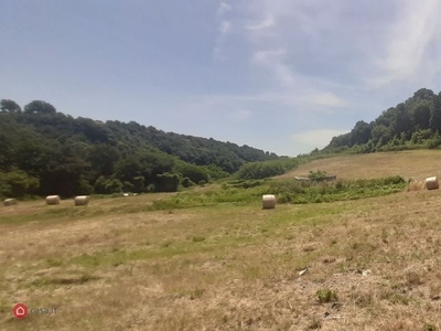Terreno agricolo in Vendita in Via Edoardo Perino a Roma