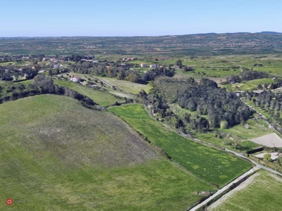 Terreno agricolo in Vendita in Via Monte Pineta a Roma