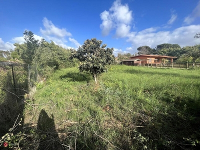 Terreno agricolo in Vendita in Via Nalles a Roma