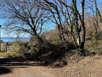 Terreno agricolo in Vendita in Via Polline a Roma