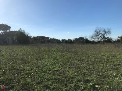 Terreno edificabile in Vendita in Via Casteldelfino a Roma