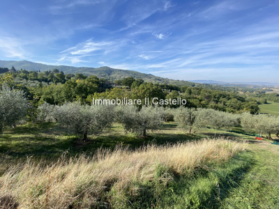 terreno residenziale in vendita a Paciano