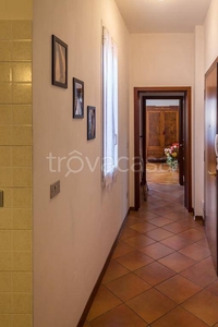 Appartamento in affitto a Bologna via Luigi Zamboni