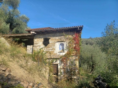 Oliveto in vendita a Dolceacqua ,