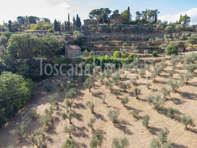 Trequanda: Stupenda tipica proprietà toscana in vendita nella provincia di Siena.