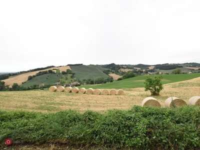 Rustico/Casale in Vendita in Pedemontana a Felino