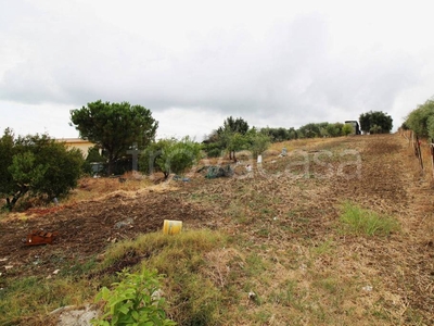 Terreno Agricolo in vendita a Bagheria strada Vicinale Incorvino Santa Caterina 2