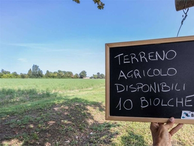 Terreno Agricolo in vendita a Bagnolo in Piano