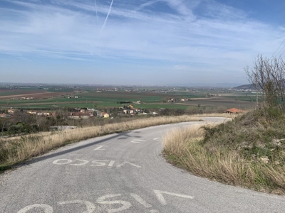 Terreno Agricolo in vendita a Baone