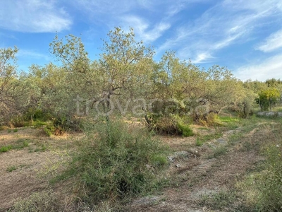 Terreno Agricolo in vendita a Barcellona Pozzo di Gotto stretto Cipollosa