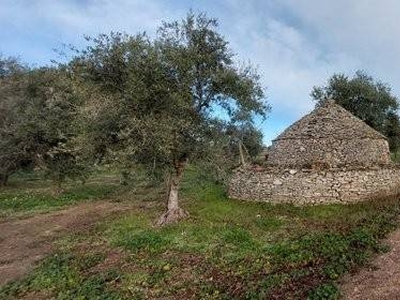 Terreno Agricolo in vendita a Barletta via dei Greci, 23, 76121 Barletta bt, Italia