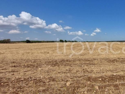 Terreno Agricolo in vendita a Barletta via dei Greci, 23