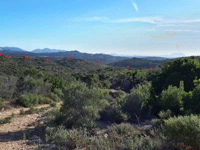 Terreno Agricolo in vendita a Berchidda loc. Sualza