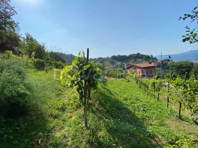 Terreno Agricolo in vendita a Bergamo via Castagneta