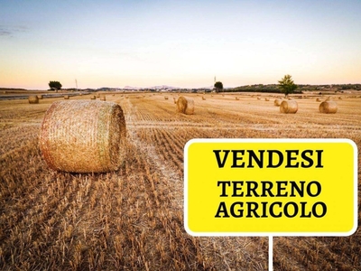 Terreno Agricolo in vendita a Briosco via Delle Ginestre