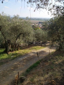 Terreno Agricolo in vendita a Calci piazza e. Santoni, 51