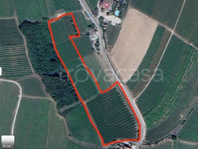 Terreno Agricolo in vendita a Caldaro Sulla Strada del Vino pianizza di Sopra