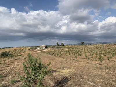 Terreno Agricolo in vendita a Caltagirone