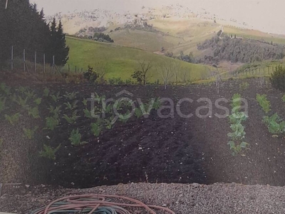 Terreno Agricolo in vendita a Caltanissetta cda Fontanelle
