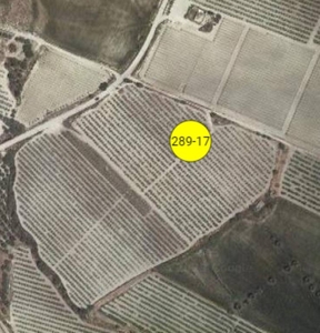 Terreno Agricolo in vendita a Caltanissetta contrada Grasta