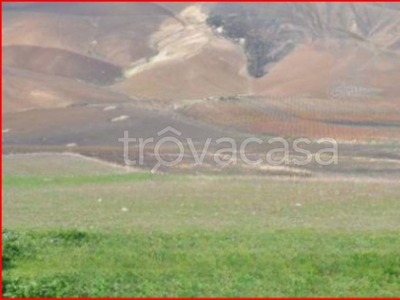 Terreno Agricolo in vendita a Caltanissetta contrada santa rita