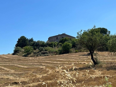 Terreno Agricolo in vendita a Caltanissetta via Giacomo Cusmano