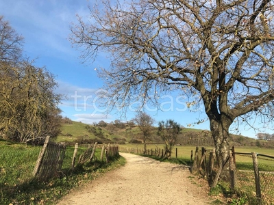 Terreno Agricolo in vendita a Campagnano di Roma strada del Prataccio