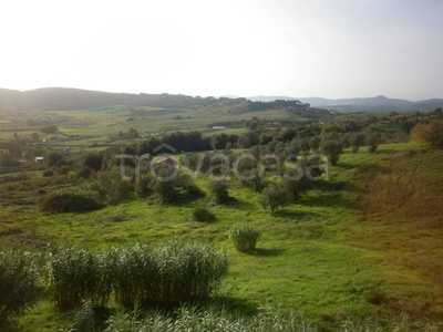 Terreno Agricolo in vendita a Campagnano di Roma via dei Cavolelli, 3